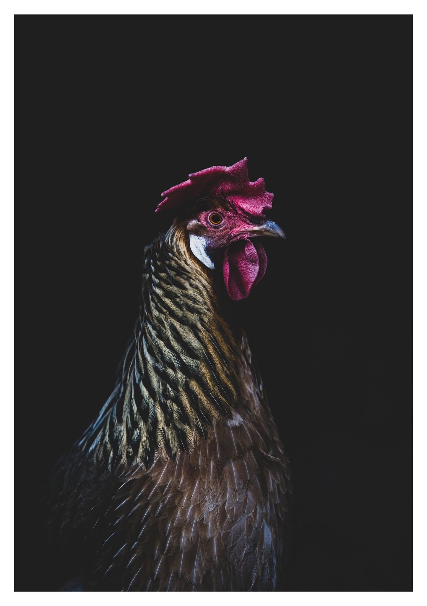MRS BOK BOK