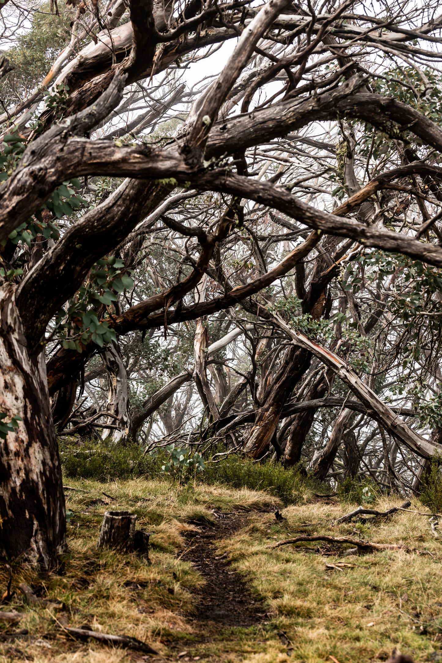 OFF THE BEATEN TRACK