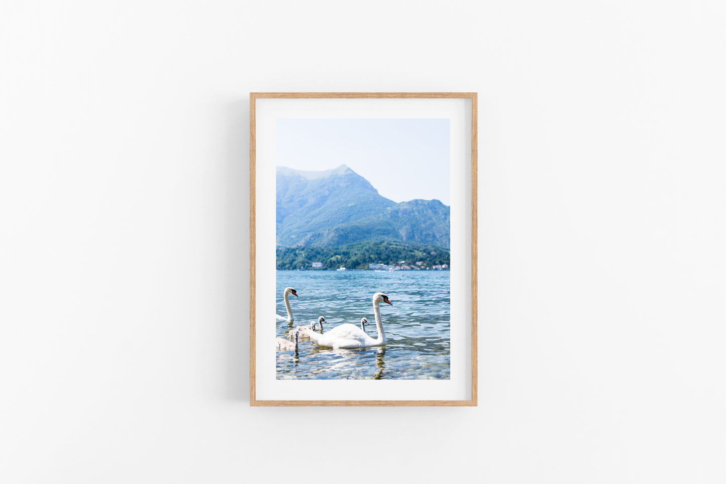 SWAN LAKE