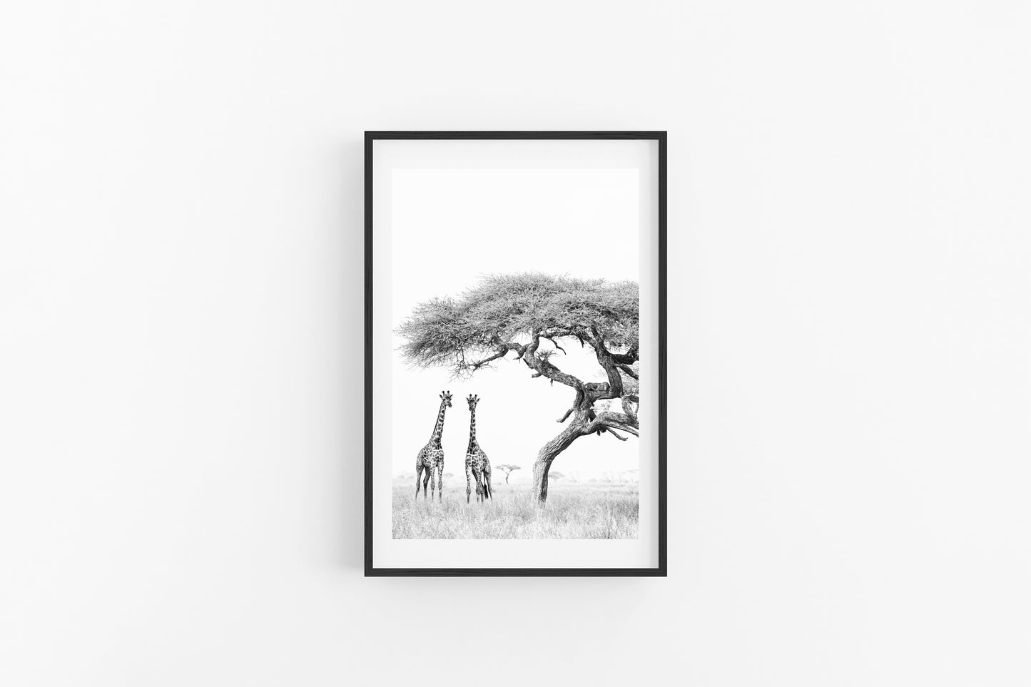 'THE GIRAFFE'S AND THE LEOPARD'