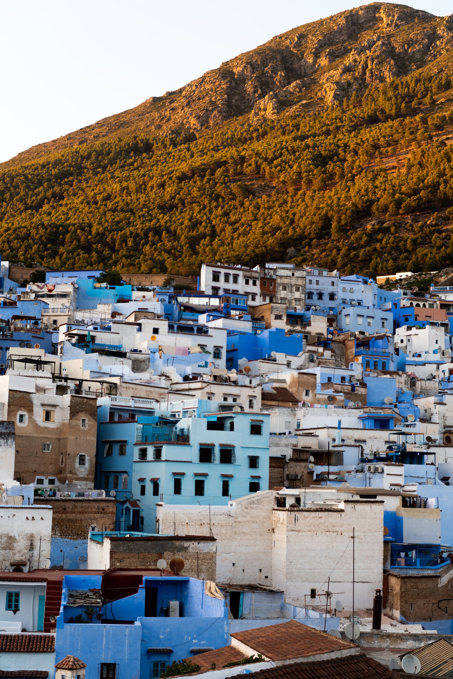 THE BLUE CITY